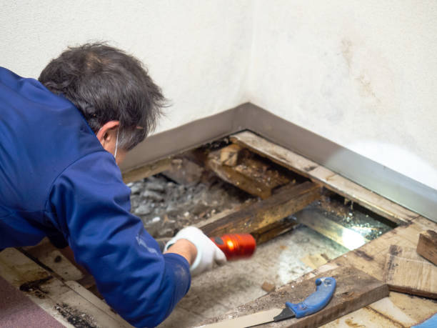 Best Crawl Space Mold Removal  in Ontario, OH