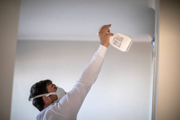 Best Commercial Mold Removal  in Ontario, OH