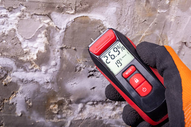 Mold Testing and Removal in Ontario, OH